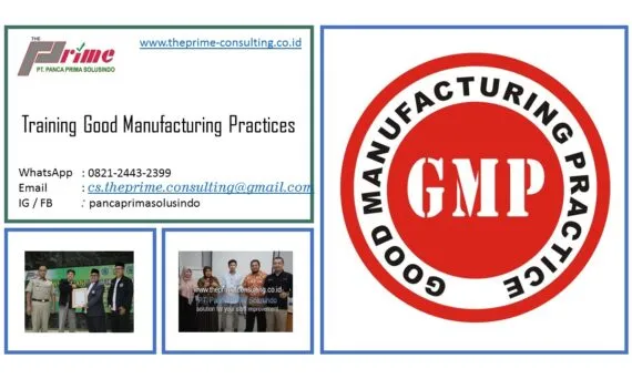 Training Good Manufacturing Practices (GMP)